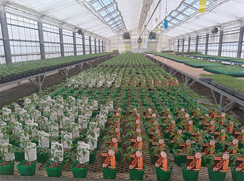 三重県伊賀市にある軽作業求人